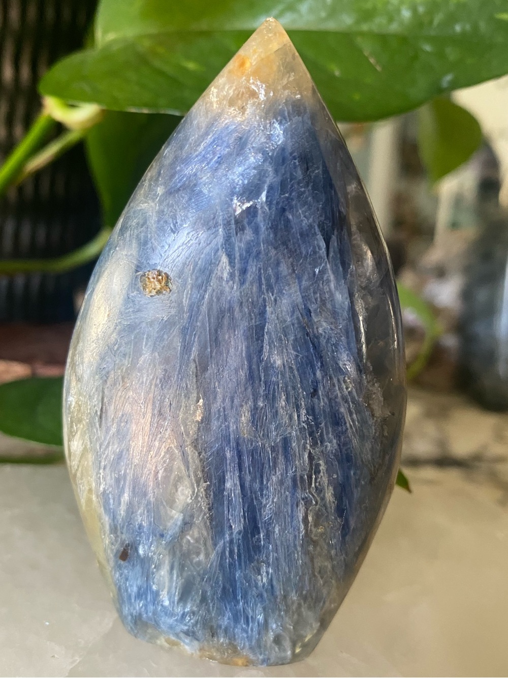 💙✨ 4” BLUE KYANITE TEARDROP FREEFORM ✨💙